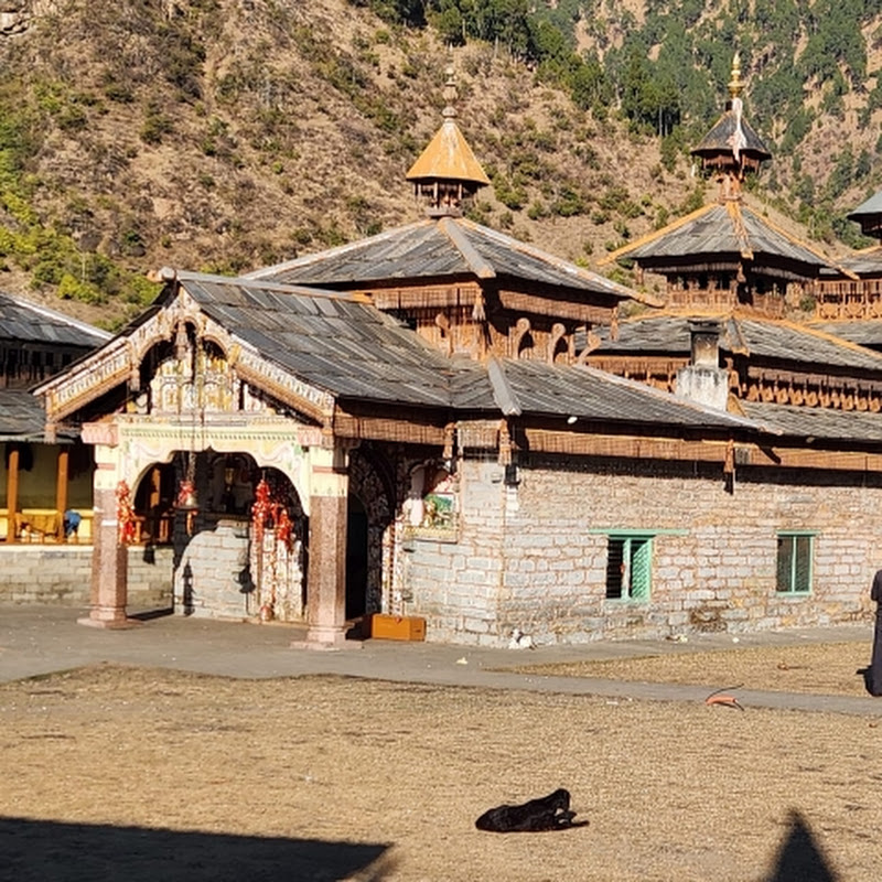 Vardaan Kamboj Shorts