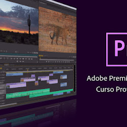 El mejor codec para exportar RÁPIDO y en buena calidad- Adobe Premiere -  YouTube