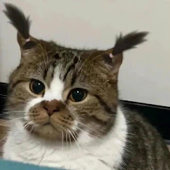 Fuzzy Doom
