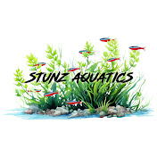 Stunz Aquatics