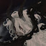 O9sxGCTvlLU-channel-avatar-𝑦𝑚𝑢𝑢