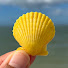ZM-ivd_TeII-channel-avatar-Seashore Adventure
