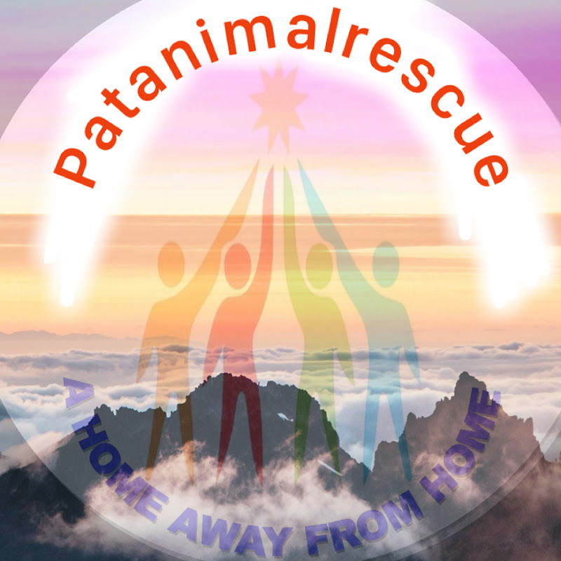 Pat Animal Rescue