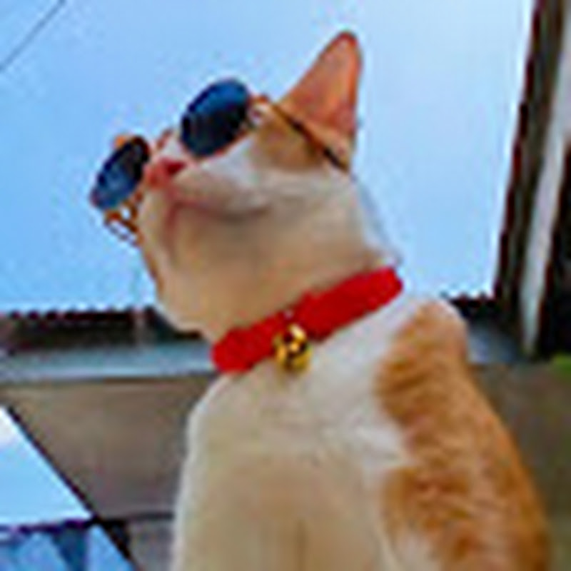 Hire WENZI — Organization & Decluttering YouTube creator for sponsorships