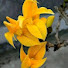 8HjJQyqqnRc-channel-avatar-MusafirHunYaroo