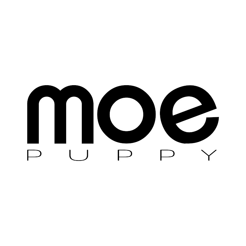 Moe Puppy