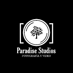 Paradise Studios YouTube channel avatar