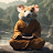 Photo of @TheHamsterMaster