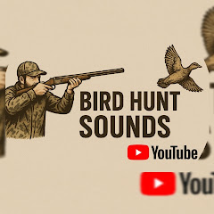 صيد الطيور Sounds