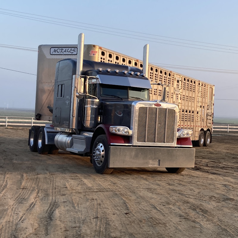 Truck 'Em 
