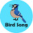 pure_song_bird