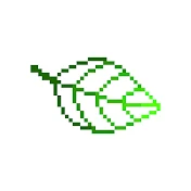 葉山のな Nona Hayama