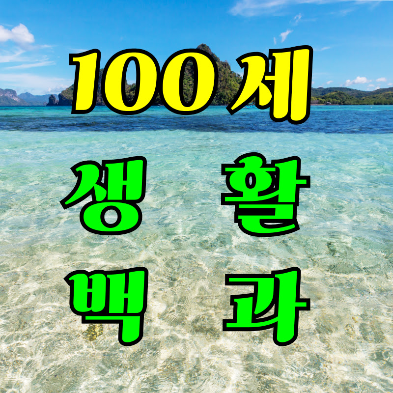 100세생활백과