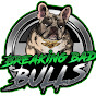 Breaking Bad Bulls logo