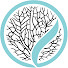 vK5Nx7S24DI-channel-avatar-Black Coral Wax