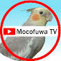 MocofuwaTV【鳥の短編動画】 logo