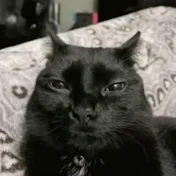 Gustavo