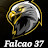 Falcao37