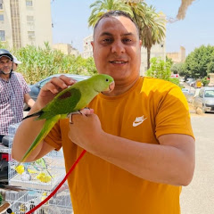 Ilyass vlog 3achi9 touyor