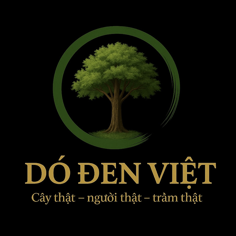 Dó đen việt.