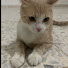 wULsSuHWySk-channel-avatar-AdamOmar