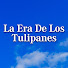 za02EAWjwPM-channel-avatar-La Era De Los Tulipanes - Lale Devri
