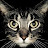 @thelittle_kitteh's avatar