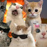 5iD9lumzzRk-channel-avatar-Marieli Sisters