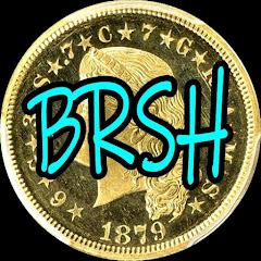 BlueRidgeSilverhound avatar