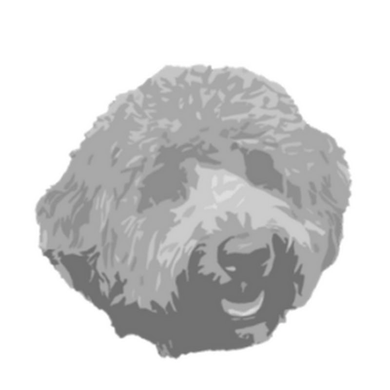 Reddog Consulting Group