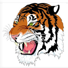 Carthage Tiger Sports Network