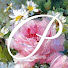 4Vvj_LEBr7Q-channel-avatar-Quiet Paris Hours