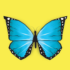 Călătorii Prin Viață