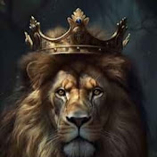 The Millionaire Mindset Code