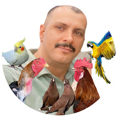 مزرعة عمو علي 