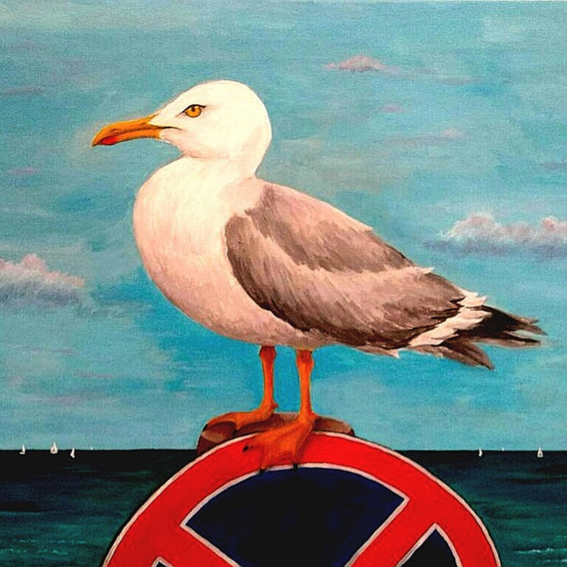 Seagull the Explorer