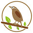 aij-xksCg8c-channel-avatar-Nature bird森系八哥