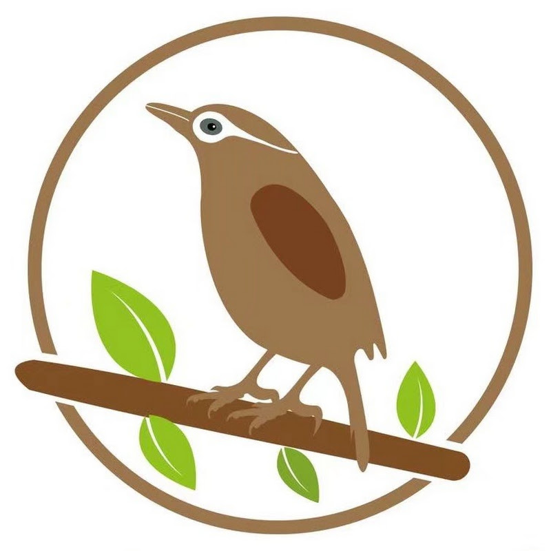 Nature bird森系八哥 Logo