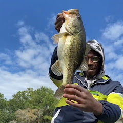 Bassin Bandit Adventures