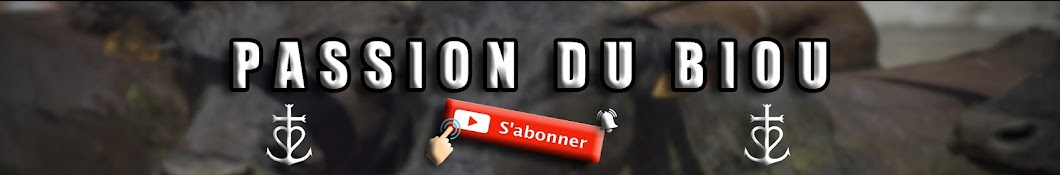 Passion du Biou & Cie YouTube kanalı avatarı