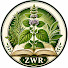 xRo8t7-FOVY-channel-avatar-Zapomniana Wiedza o Roślinach