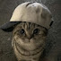 6-Wn9a1lMxw-channel-avatar-honey paws