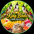 7y1V4Sx_6Ec-channel-avatar-King Birds TV 
