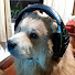 ILfZzZVe5LE-channel-avatar-DamianGDO