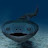 Photo of @Nightmarefuelfish