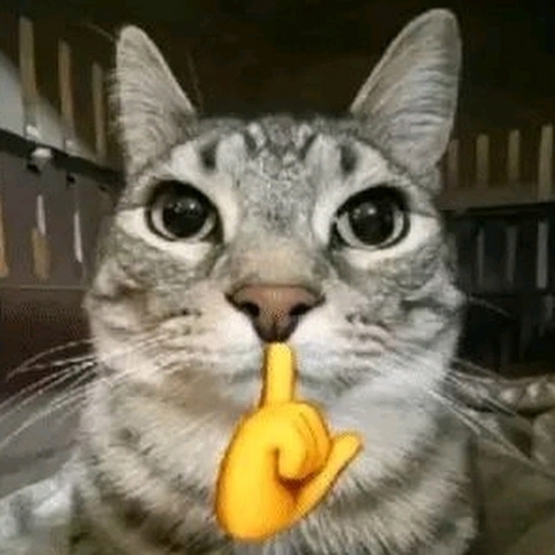 SigMiaw