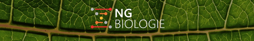 NGbiologie Avatar del canal de YouTube