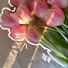 KBnxO05jXRs-channel-avatar-Daisy&Tulip⋆. 𐙚 ˚