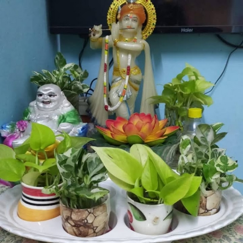 భీమవరం గంగక్క వ్లాగ్స్