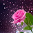 @bos5646